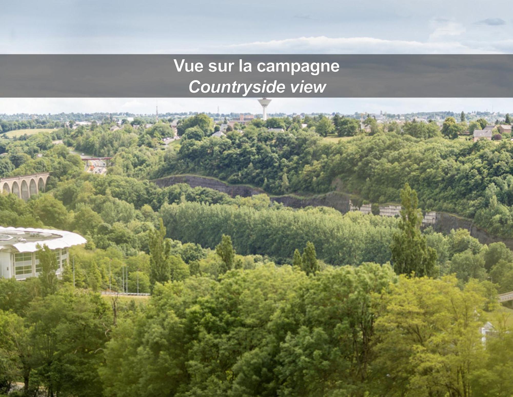 Hotel La Ferme De Bourran Rodez - Parking Prive Gratuit Eksteriør billede